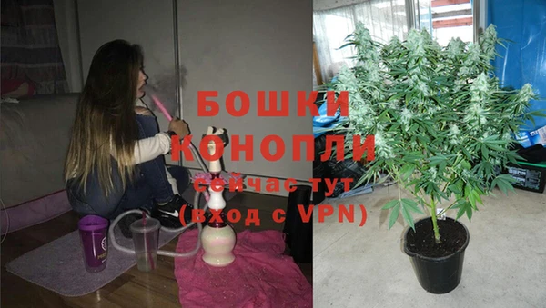 прущие крисы Беломорск