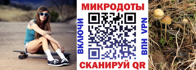 Купить закладки  Невель  Псилоцибиновые грибы Magic Shrooms 