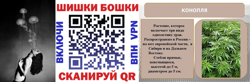 Каннабис Amnesia  Купить закладки  Невель 
